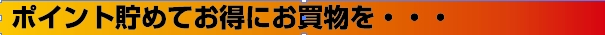 �|�C���g�𒙂߂Ă����ɂ����������E�E�E